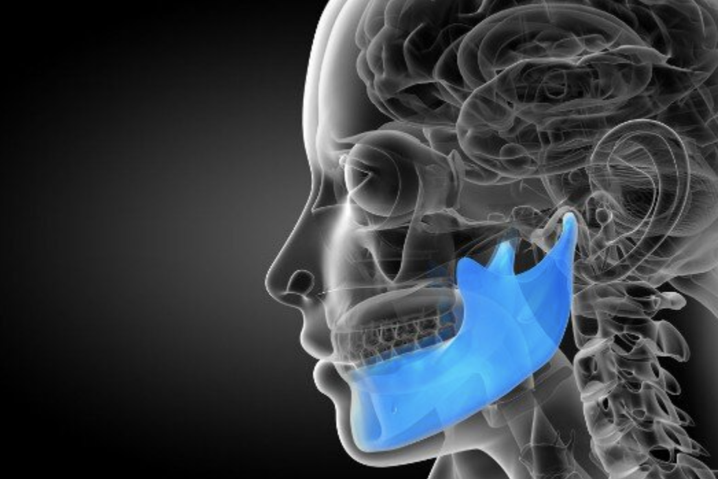 immagine del cranio con mandibola evidenziata di colore blu (Cone Beam)